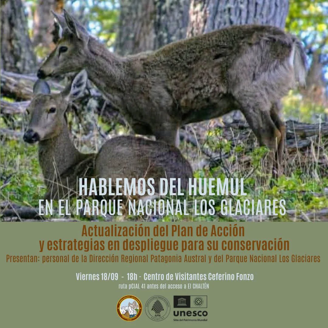 huemul charla