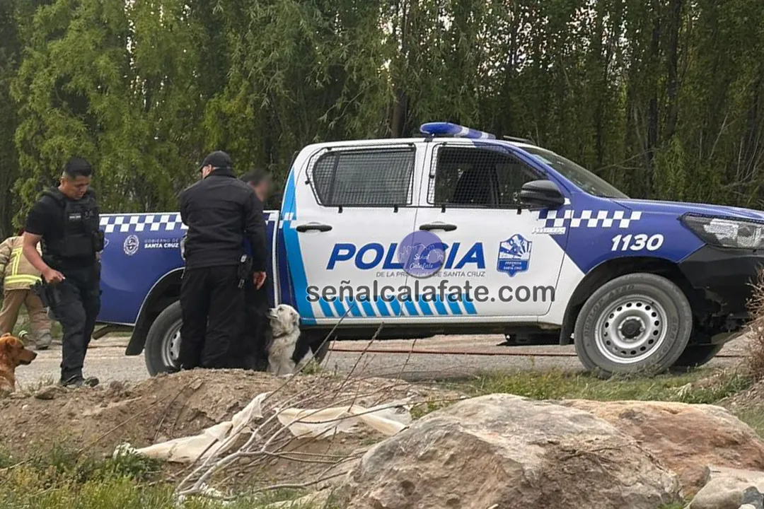 psiqui 1