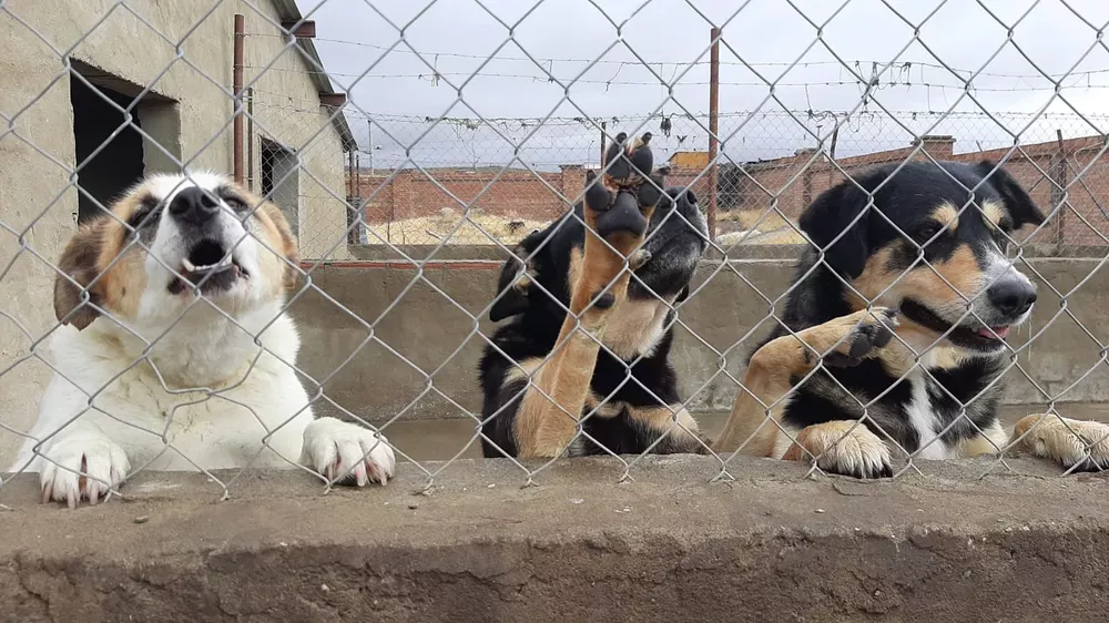 274296945_5522085477820558_4952473155059333738_n