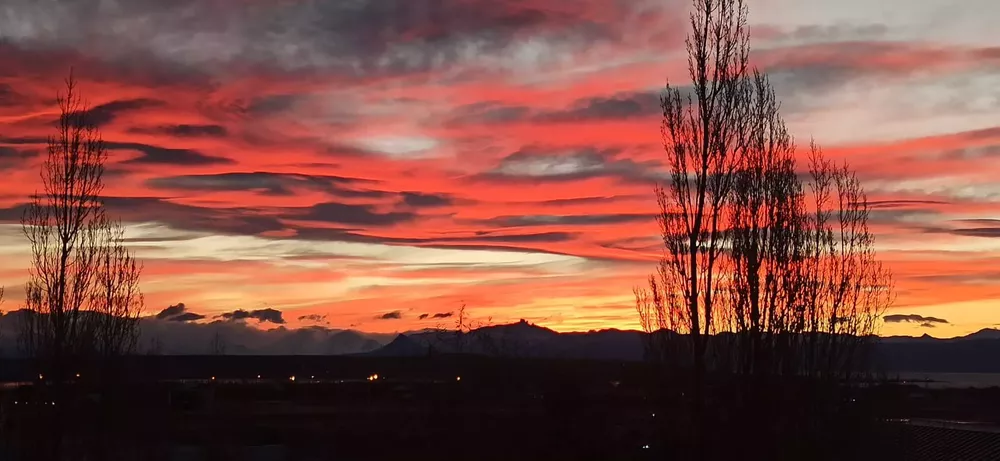 WhatsApp Image 2022-05-25 at 6.23.46 PM