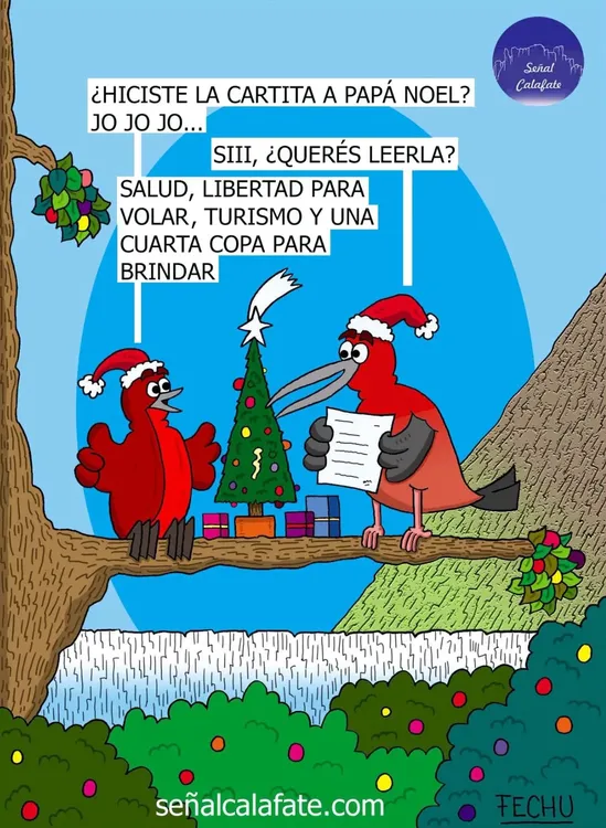 WhatsApp Image 2025-12-21 at 11.53.42 AM