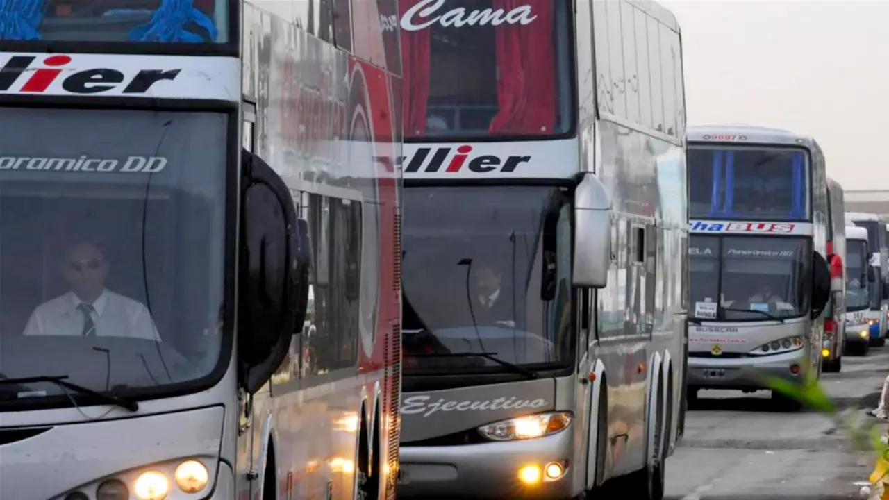 Transporte larga