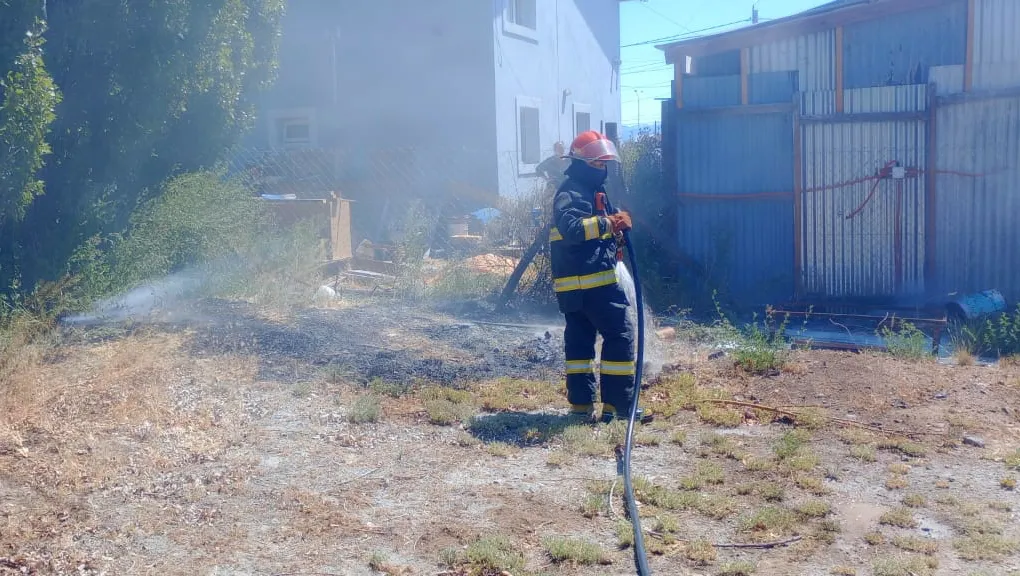 PHOTO-2025-01-03-15-00-08