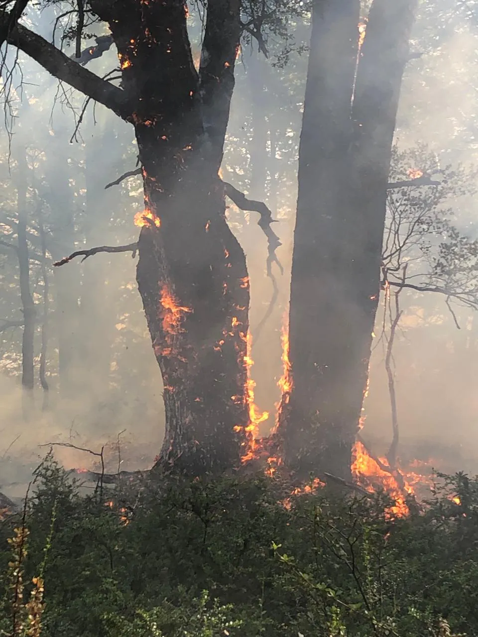 Imagen de WhatsApp 2024-02-19 a las 20.46.12_e4e79dbb