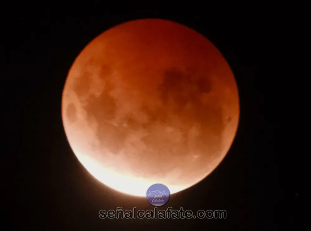 DSCN8068.jpg