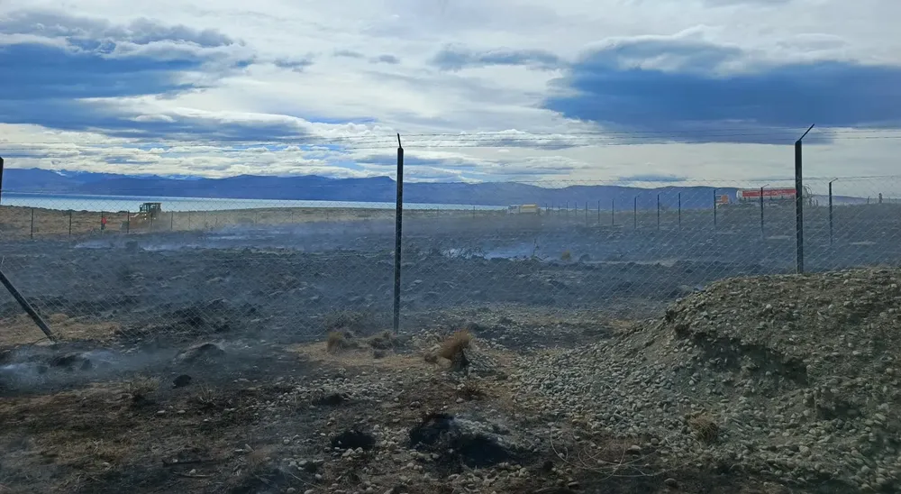 WhatsApp Image 2025-02-18 at 17.36.54