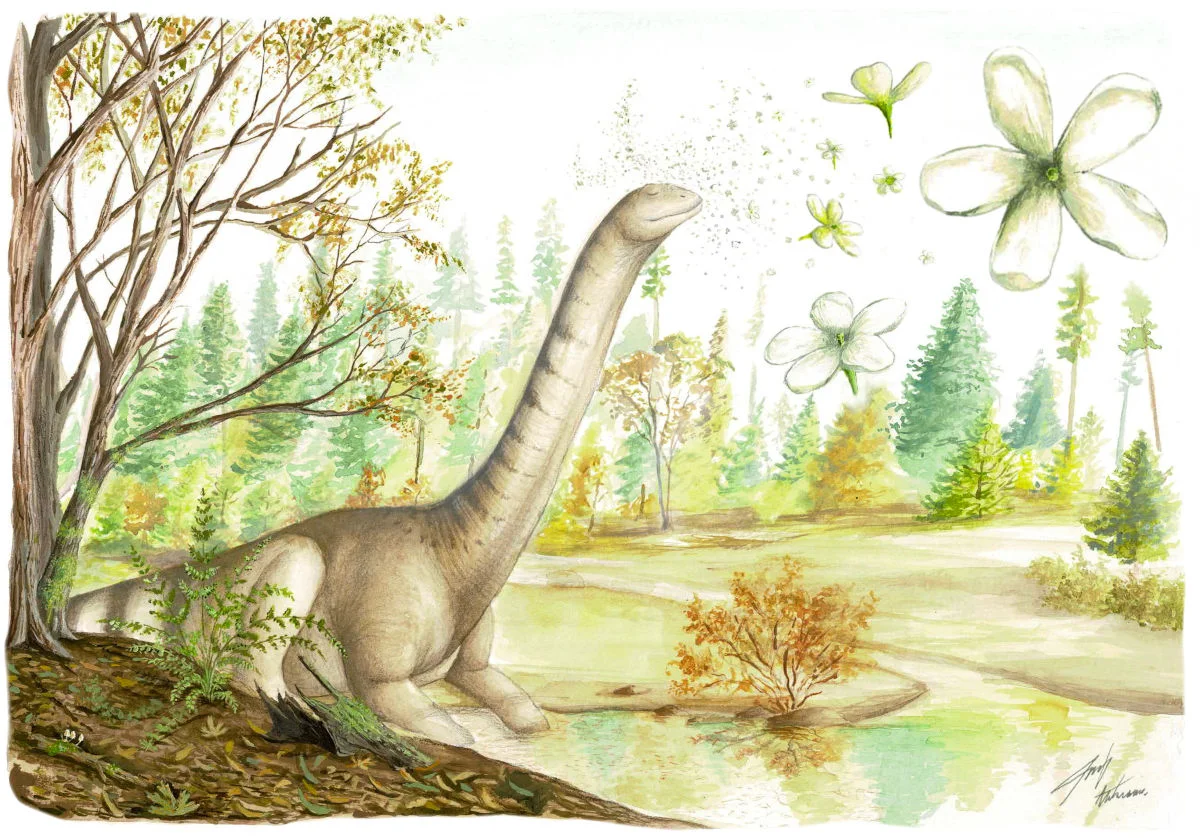 nueva_especie_patagoflora_minima_03