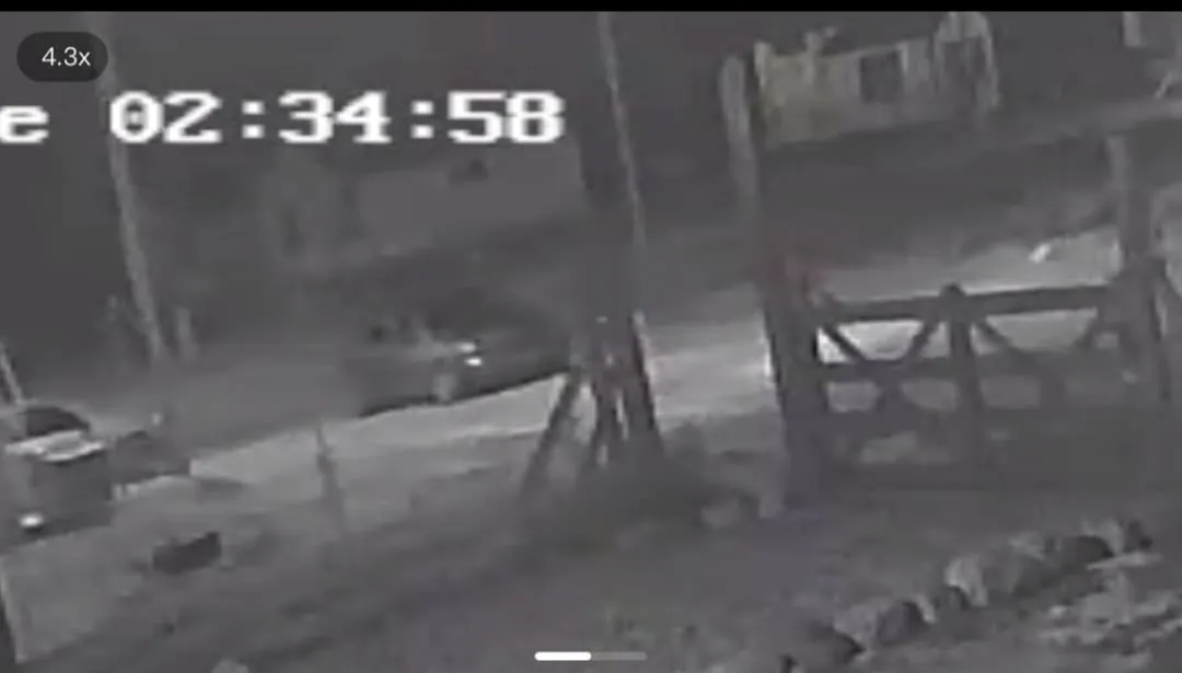 WhatsApp Image 2023-11-03 at 19.47.56