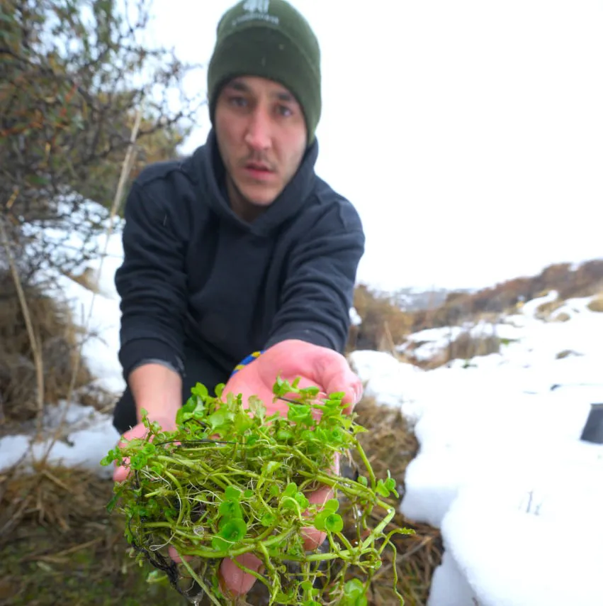 cañadon caracolesd humedales3