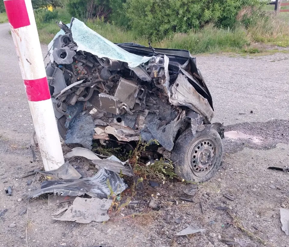 WhatsApp Image 2025-12-20 at 4.35.04 PM