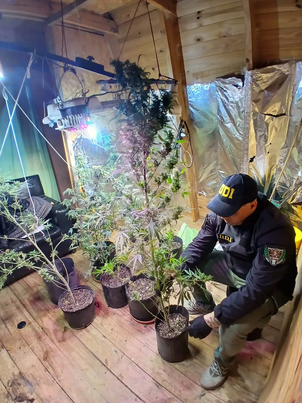 WhatsApp Image 2025-05-15 at 08.17.51