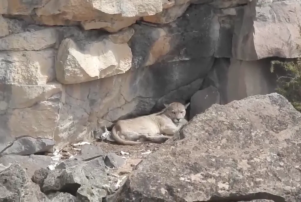 Captura de Pantalla 2026-01-24 a la(s) 14.21.53