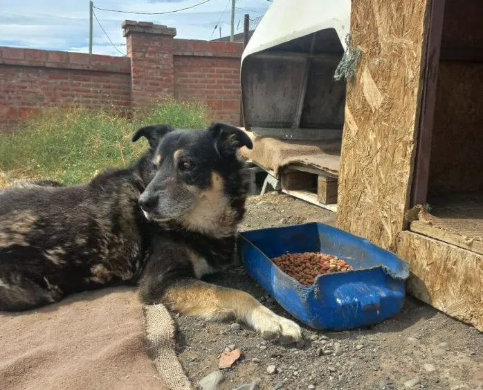 Captura de Pantalla 2025-09-11 a la(s) 20.29.26