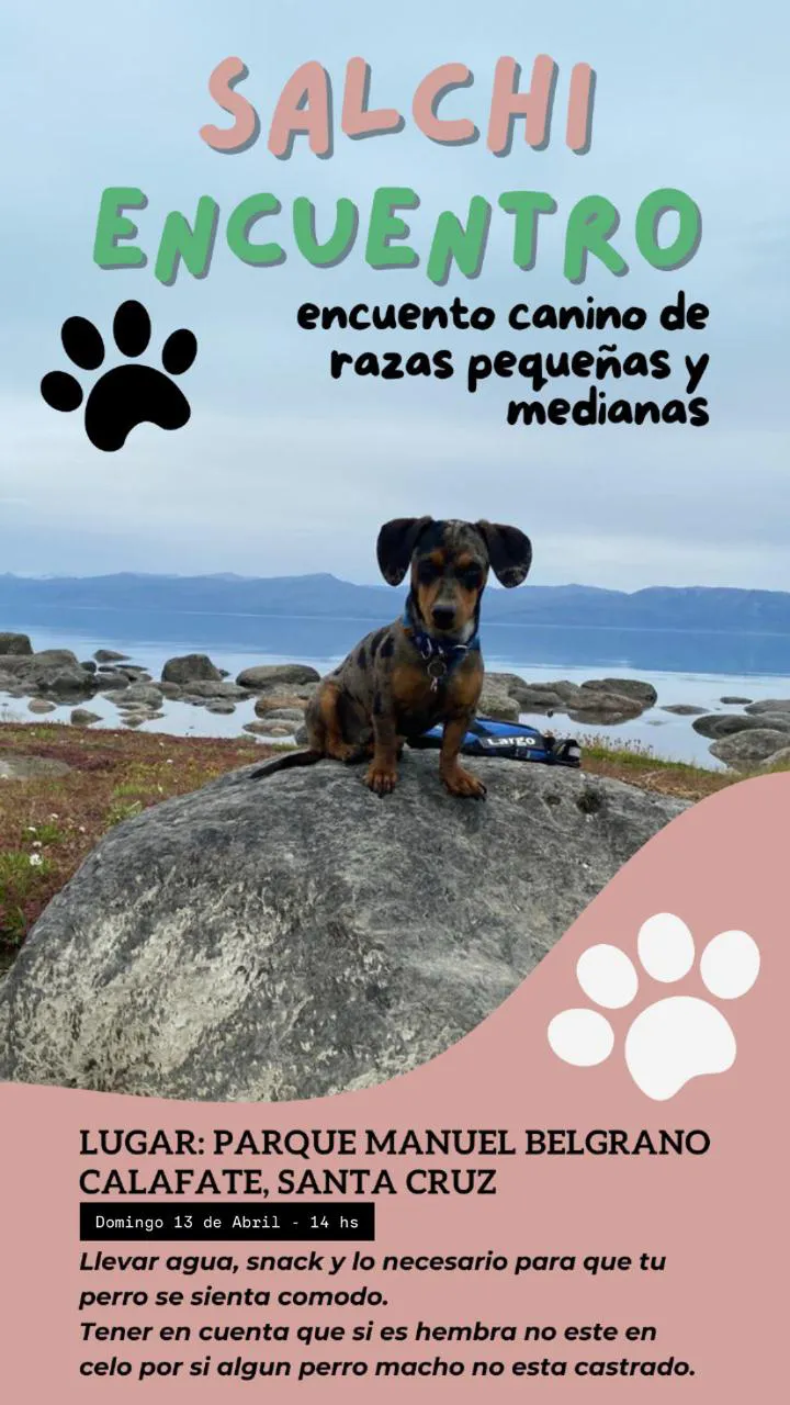 SALCHI ENCUENTRO