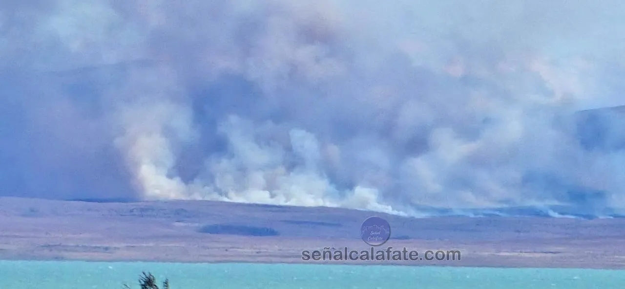 WhatsApp Image 2025-02-20 at 16.27.56